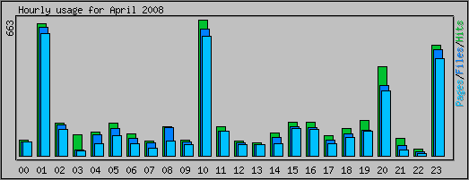 Hourly usage