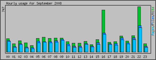 Hourly usage