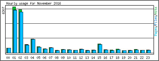 Hourly usage