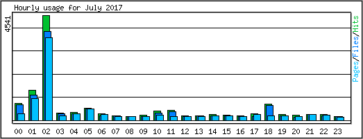 Hourly usage